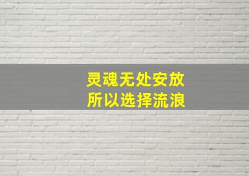 灵魂无处安放 所以选择流浪